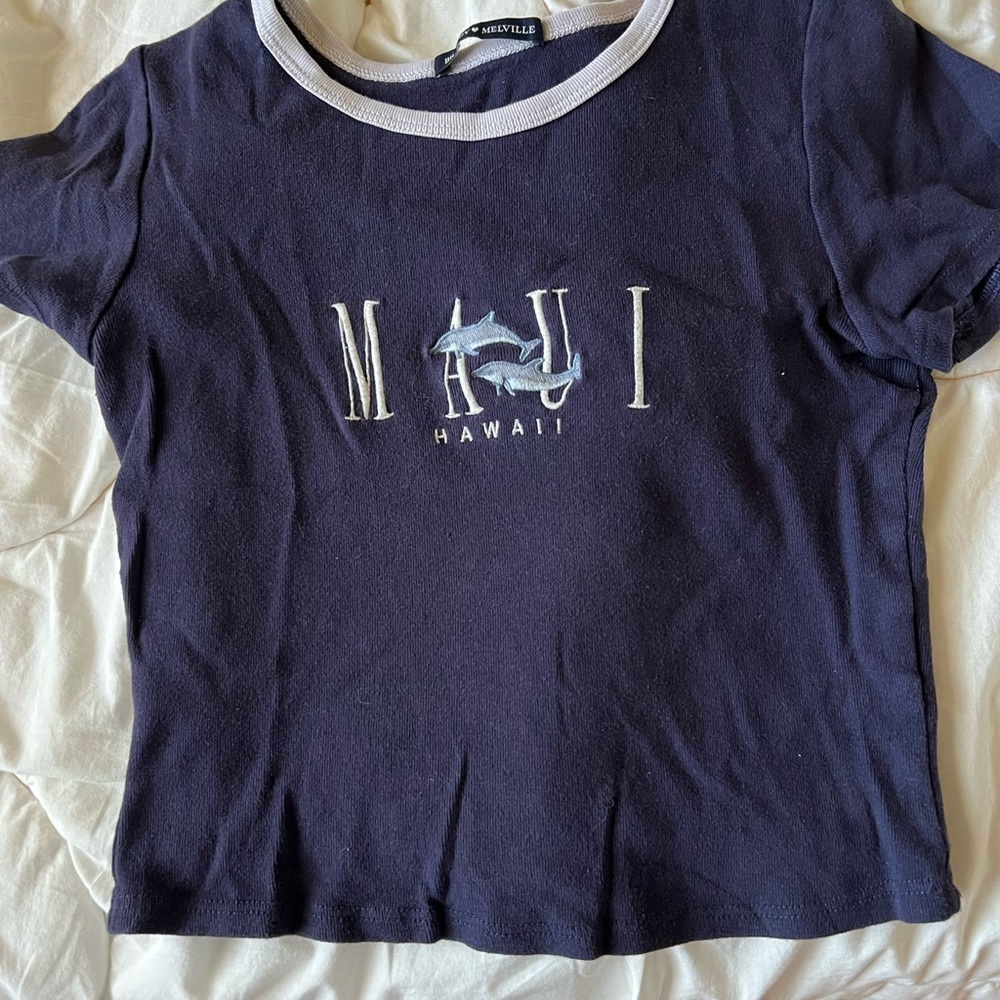 Brandy Melville Crop Top